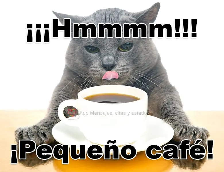 ¡¡¡Hmmmm!!! ¡Pequeño café! 