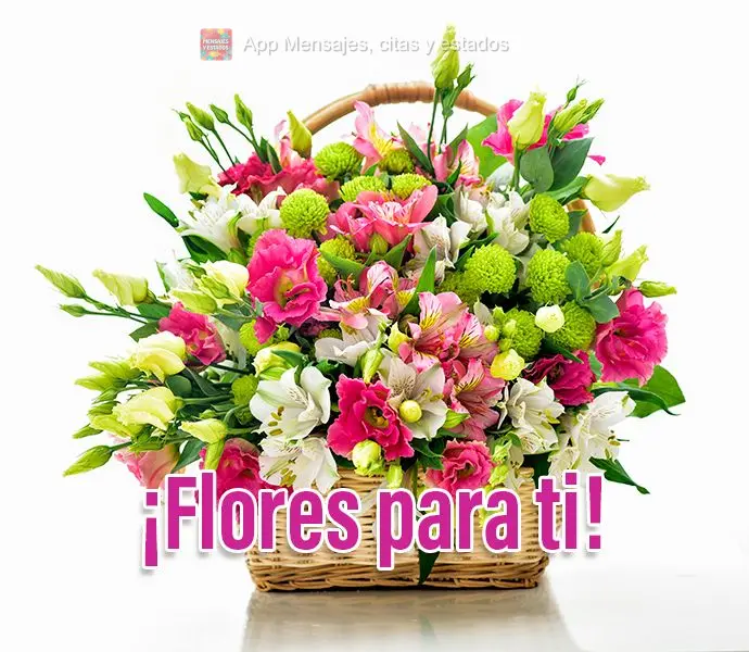 ¡Flores para ti!