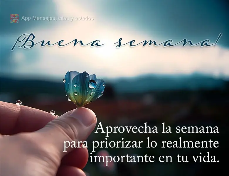 Aprovecha la semana para priorizar lo realmente importante en tu vida. ¡Buena semana!