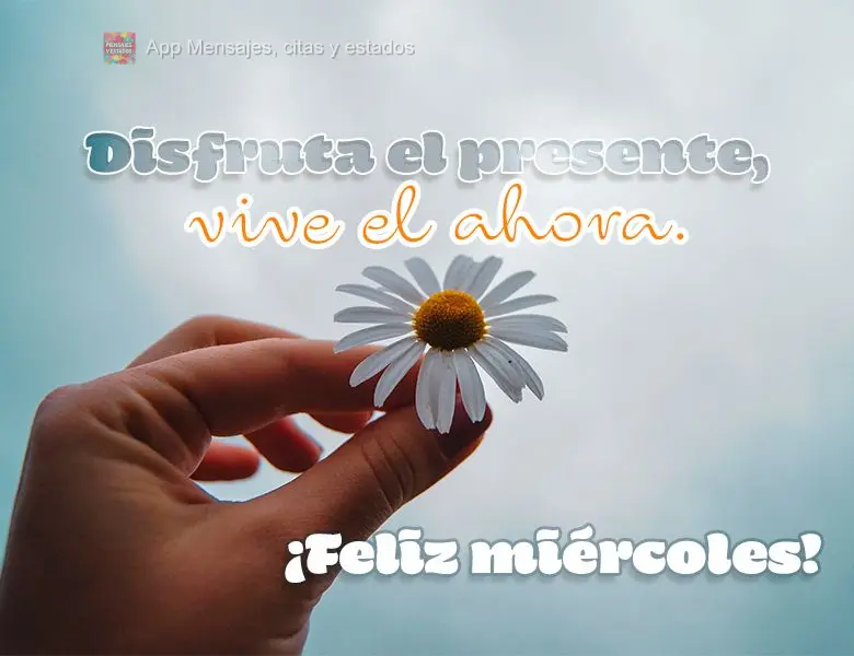 Aproveite o presente, viva o agora. Feliz Quarta-feira!