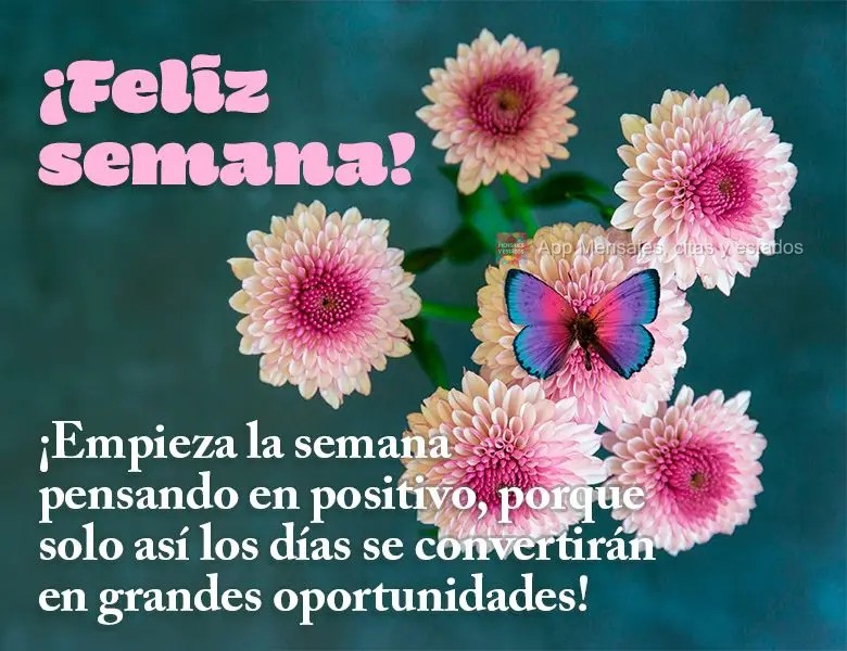Comece a semana pensando positivo, pois só assim os dias se tornaram grandes oportunidades! Feliz Semana! 
