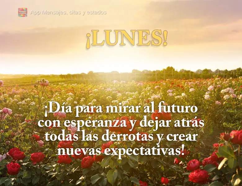 ¡Día para mirar al futuro con esperanza y dejar atrás todas las derrotas y crear nuevas expectativas! ¡Lunes!