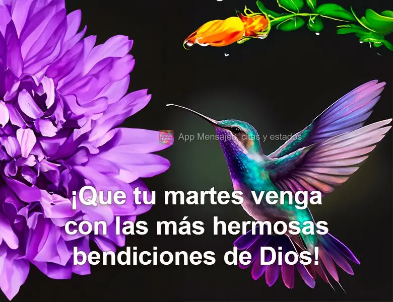 ¡Que tu martes venga con las más hermosas bendiciones de Dios!