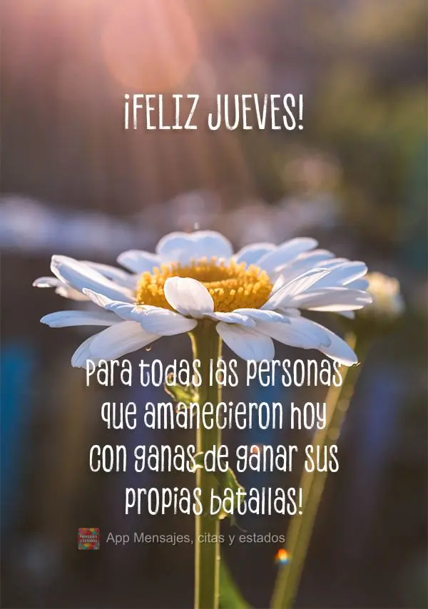 ¡Feliz jueves! Para todas las personas que amanecieron hoy con ganas de ganar sus propias batallas!
