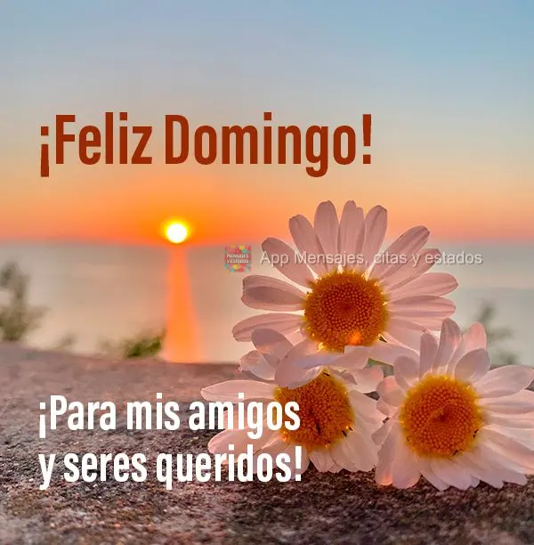 ¡Para mis amigos y seres queridos! ¡Feliz Domingo!