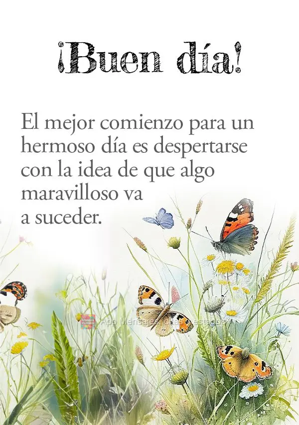 O melhor começo de um belo dia é acordar com o pensamento de que algo maravilhoso vai acontecer. Bom dia!