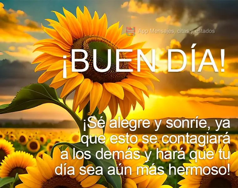 ¡Sé alegre y sonríe, ya que esto se contagiará a los demás y hará que tu día sea aún más hermoso! ¡Buen día!