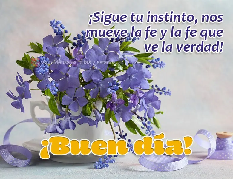 ¡Sigue tu instinto, nos mueve la fe y la fe que ve la verdad! ¡Buen día!
