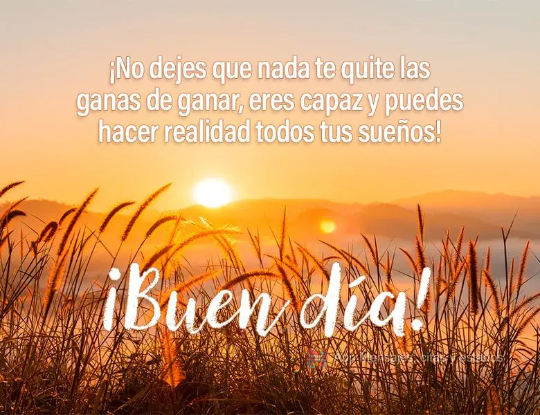 Não deixe que nada tire a sua vontade de vencer, você é capaz e pode realizar todos os seus sonhos! Bom dia!