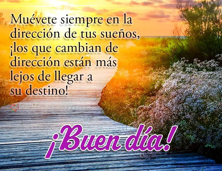 Muévete siempre en la dirección de tus sueños, ¡los que cambian de dirección están más lejos de llegar a su destino! ¡Buen día!