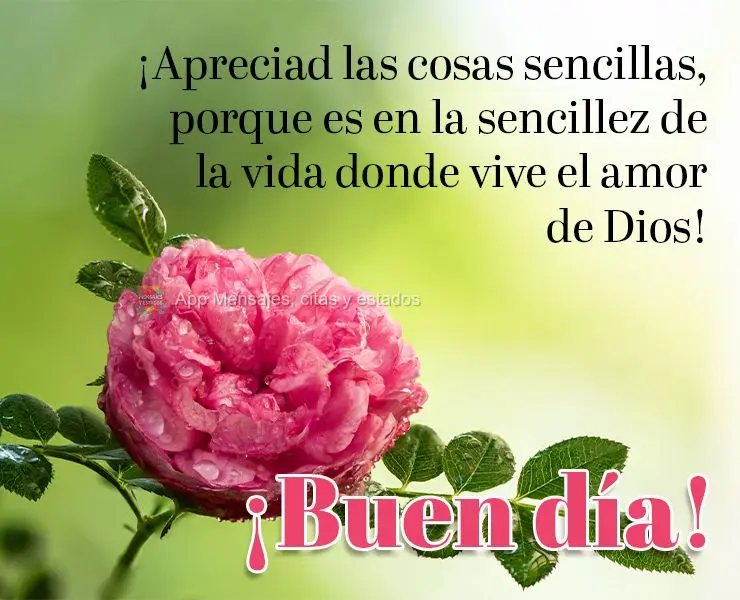¡Apreciad las cosas sencillas, porque es en la sencillez de la vida donde vive el amor de Dios! ¡Buen día!