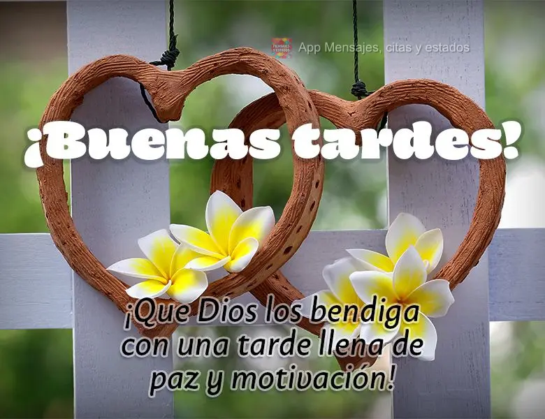 Que Deus possa te agraciar com uma tarde plena de paz e motivação! Boa tarde!