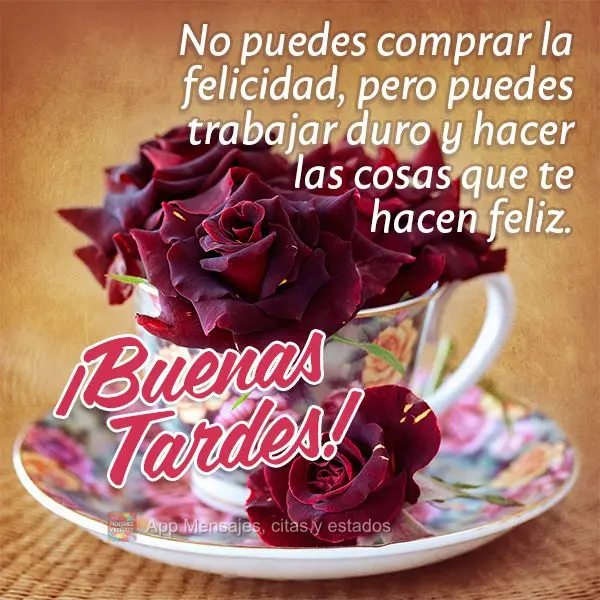 Você não pode comprar a felicidade, mas você pode trabalhar duro e fazer as coisas que fazem você feliz. Boa tarde!