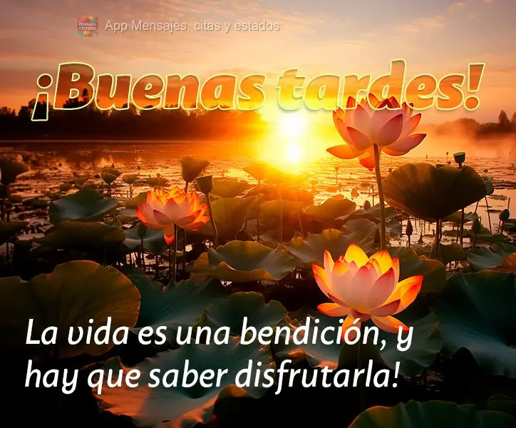 La vida es una bendición, y hay que saber disfrutarla! ¡Buenas tardes!