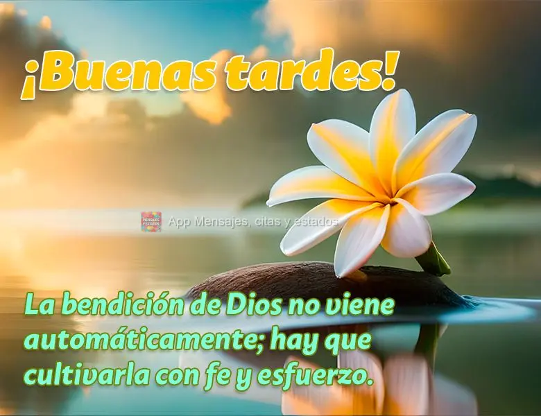 A bênção de Deus não vem de forma automática; ela precisa ser cultivada com fé e esforço. Boa tarde!
