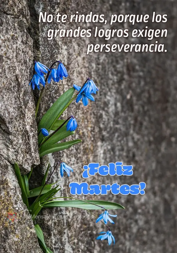 No te rindas, porque los grandes logros exigen perseverancia. ¡Feliz martes!