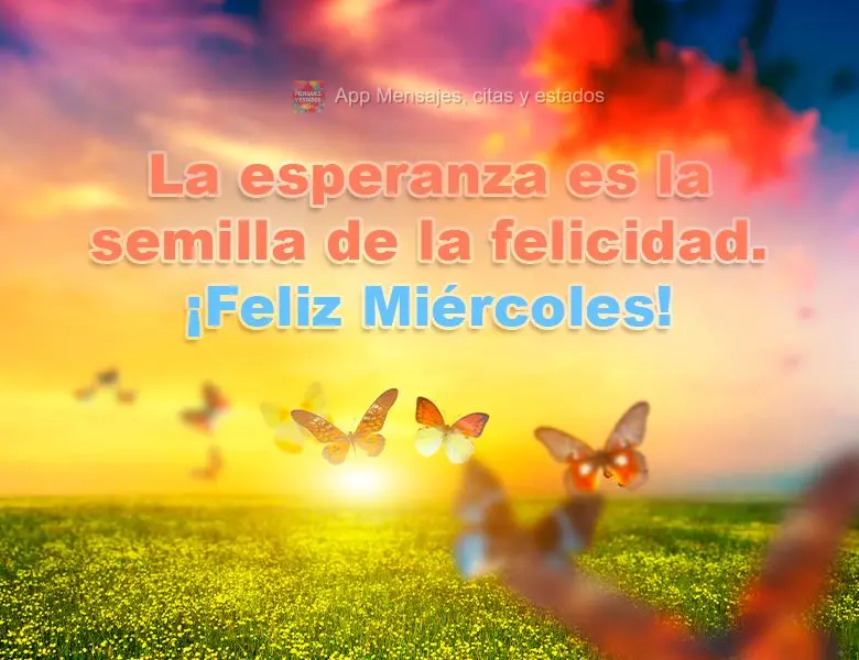 La esperanza es la semilla de la felicidad. ¡Feliz miércoles!