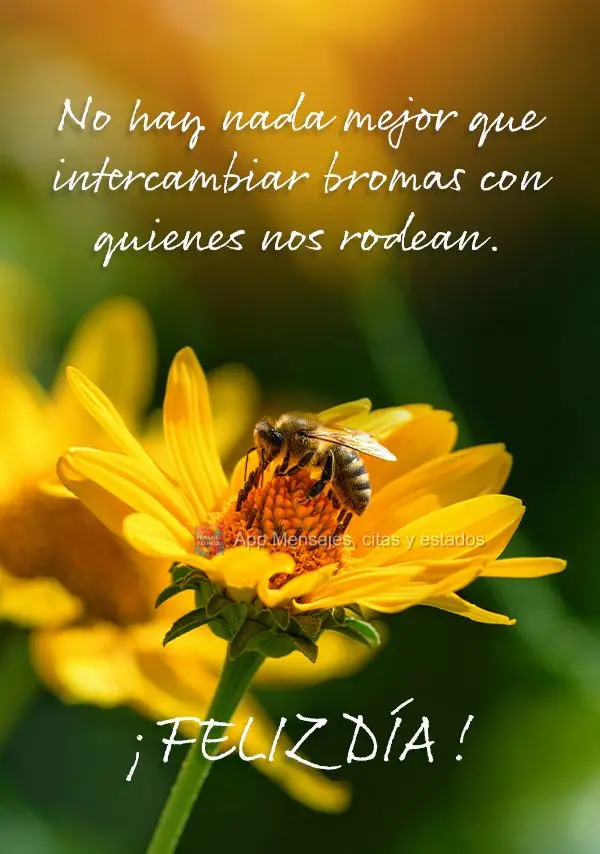 No hay nada mejor que intercambiar bromas con quienes nos rodean. ¡Feliz día!