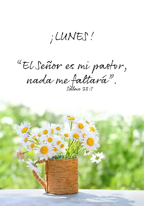 “El Señor es mi pastor, nada me faltará”. ¡Lunes! Salmo 23:1