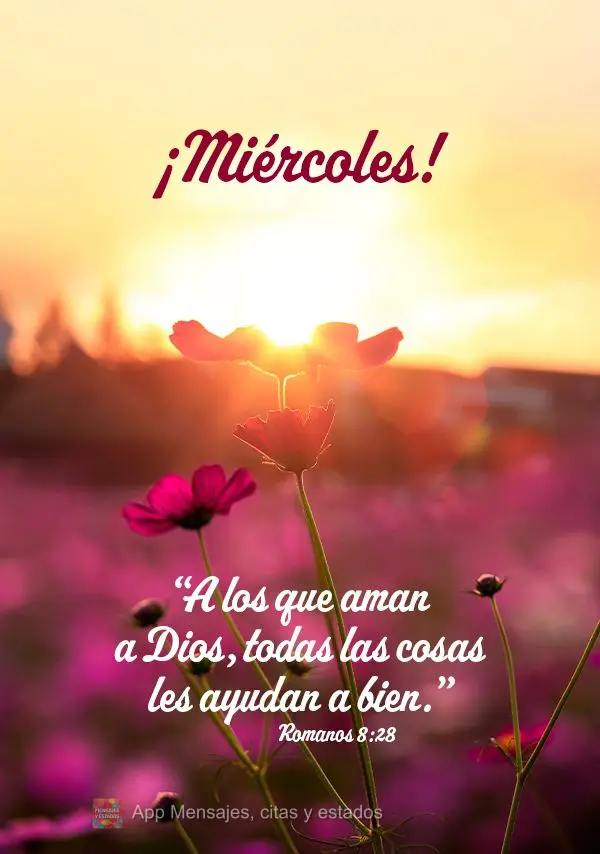 “Todas as coisas contribuem para o bem daqueles que amam a Deus.” Quarta-feira! Romanos 8:28