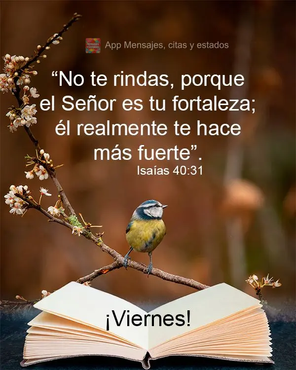 “No te rindas, porque el Señor es tu fortaleza; él realmente te hace más fuerte”. ¡Viernes! Isaías 40:31