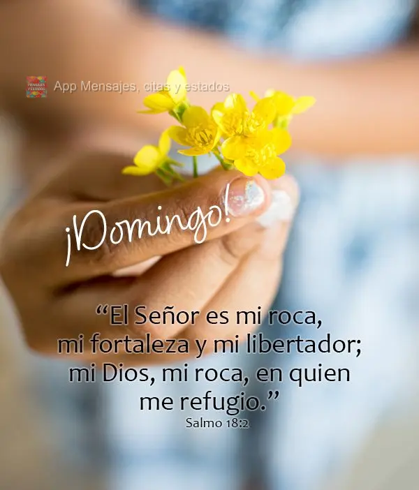 “El Señor es mi roca, mi fortaleza y mi libertador; mi Dios, mi roca, en quien me refugio.” ¡Domingo! Salmo 18:2