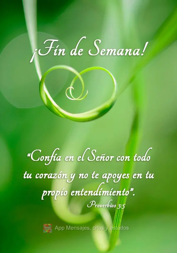 “Confía en el Señor con todo tu corazón y no te apoyes en tu propio entendimiento”. ¡Fin de semana! Proverbios 3:5