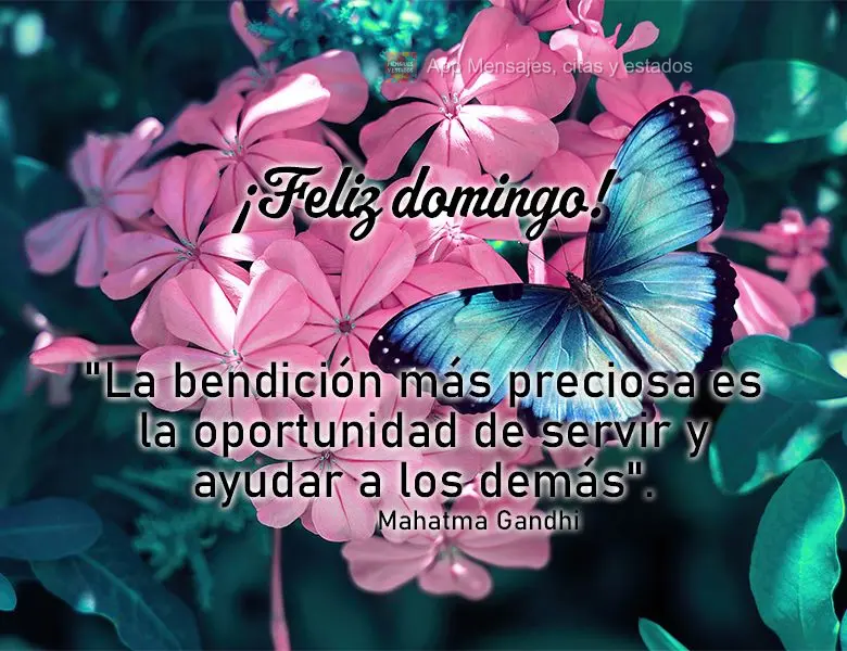 "A bênção mais preciosa é a oportunidade de servir e ajudar os outros." Feliz Domingo! Mahatma Gandhi