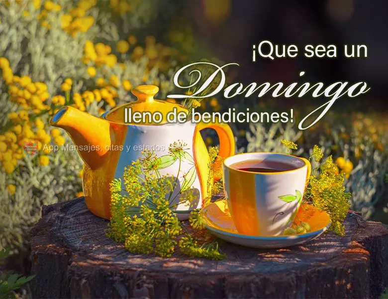 ¡Que sea un domingo lleno de bendiciones!