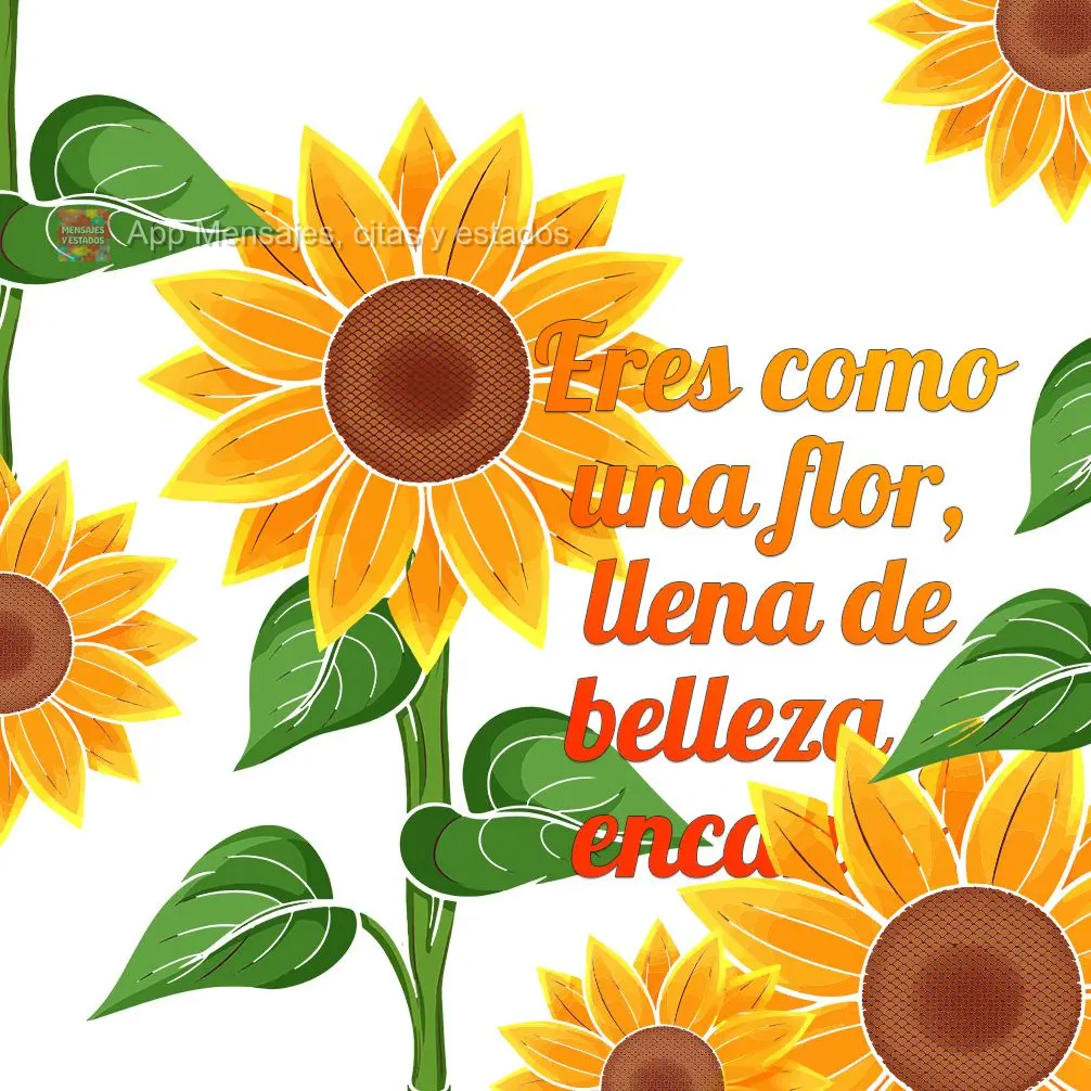 Você é como uma flor, cheia de beleza e encantos.