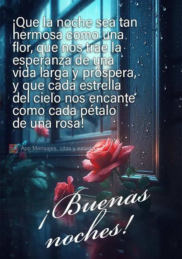 Boa noite! Que a noite seja linda como uma flor, que nos trás a esperança de uma vida longa e próspera, e que cada estrela do céu nos encante assim c...