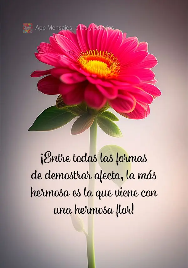 Entre todas as formas de demonstrar carinho, a mais bonita é aquela que vem junto de uma linda flor!