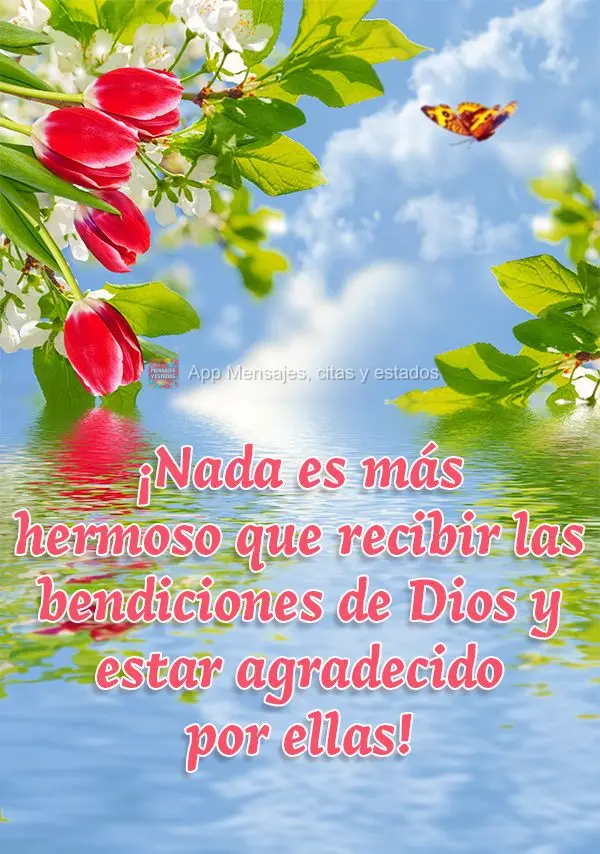 ¡Nada es más hermoso que recibir las bendiciones de Dios y estar agradecido por ellas!