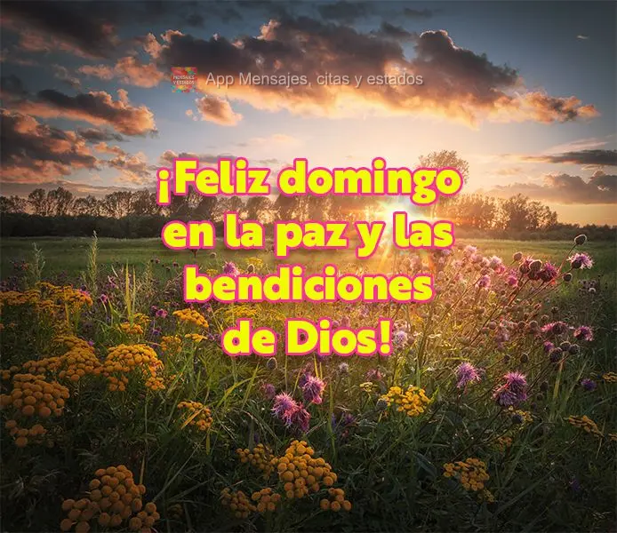 ¡Feliz domingo en la paz y las bendiciones de Dios!