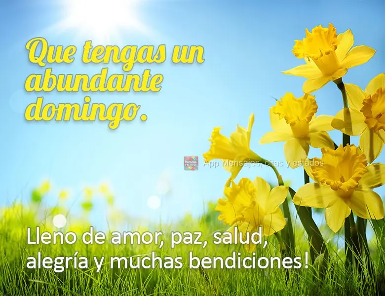 Que tengas un abundante domingo. Lleno de amor, paz, salud, alegría y muchas bendiciones!