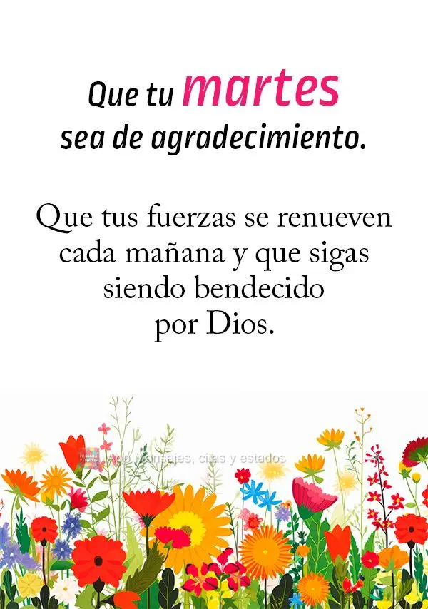 Que tu martes sea de agradecimiento. Que tus fuerzas se renueven cada mañana y que sigas siendo bendecido por Dios.
