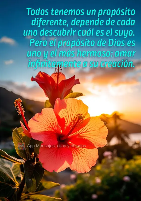 Todos tenemos un propósito diferente, depende de cada uno descubrir cuál es el suyo. Pero el propósito de Dios es uno y el más hermoso: amar infinita...
