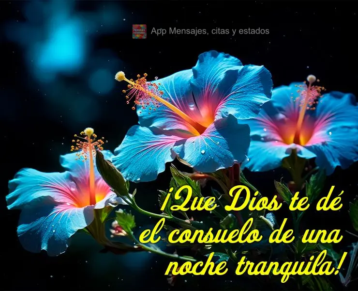 ¡Que Dios te dé el consuelo de una noche tranquila!