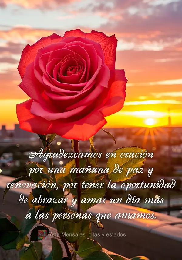 Agradezcamos en oración por una mañana de paz y renovación, por tener la oportunidad de abrazar y amar un día más a las personas que amamos.