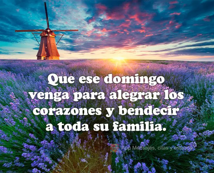 Que ese domingo venga para alegrar los corazones y bendecir a toda su familia.