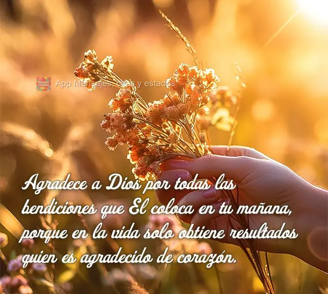 Agradece a Dios por todas las bendiciones que El coloca en tu mañana, porque en la vida solo obtiene resultados quien es agradecido de corazón.