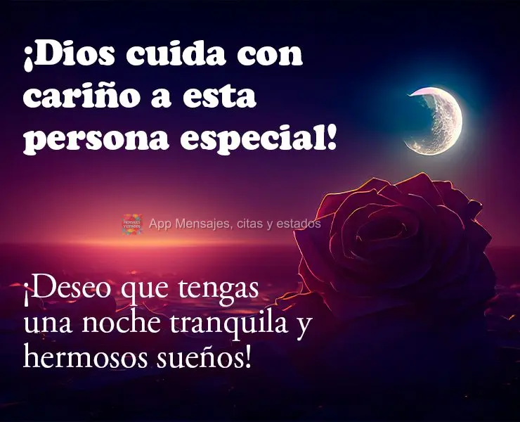 Deus cuida com carinho dessa pessoa especial! Eu desejo que você tenha uma noite de paz e de lindos sonhos! 