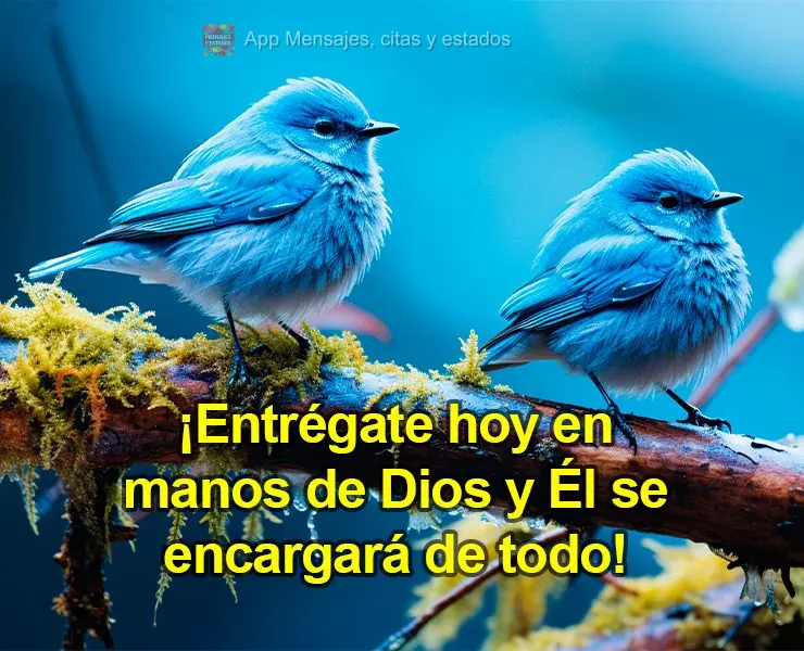 Entregue o dia de hoje nas mãos de Deus e Ele cuidará de tudo!