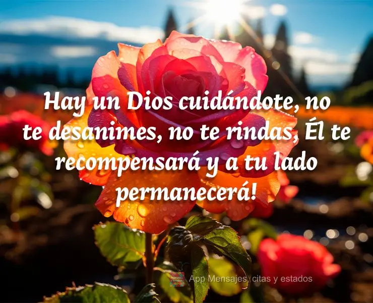 Hay un Dios cuidándote, no te desanimes, no te rindas, Él te recompensará y a tu lado permanecerá!