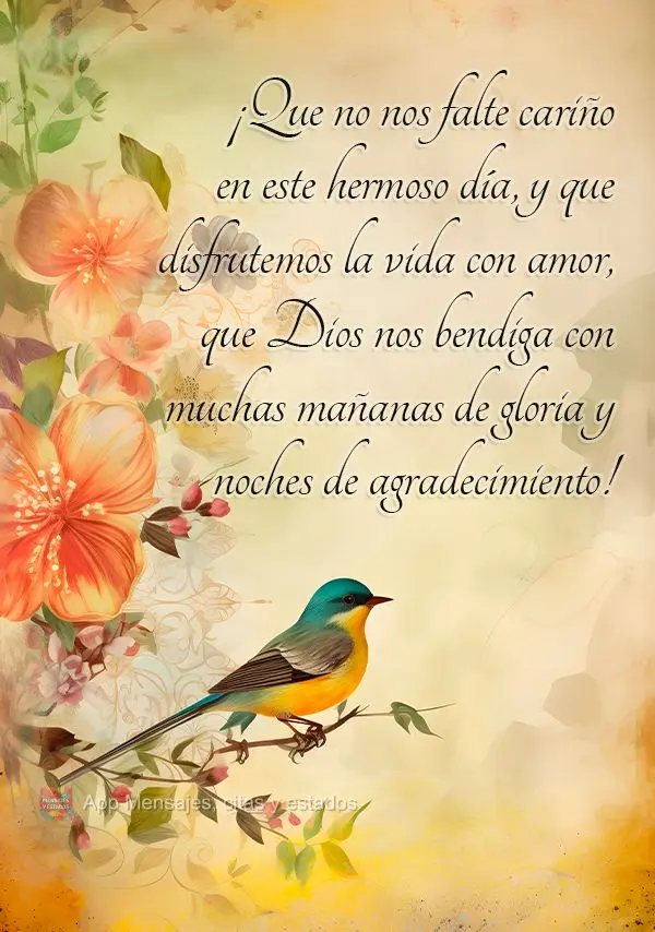 ¡Que no nos falte cariño en este hermoso día, y que disfrutemos la vida con amor, que Dios nos bendiga con muchas mañanas de gloria y noches de agrad...