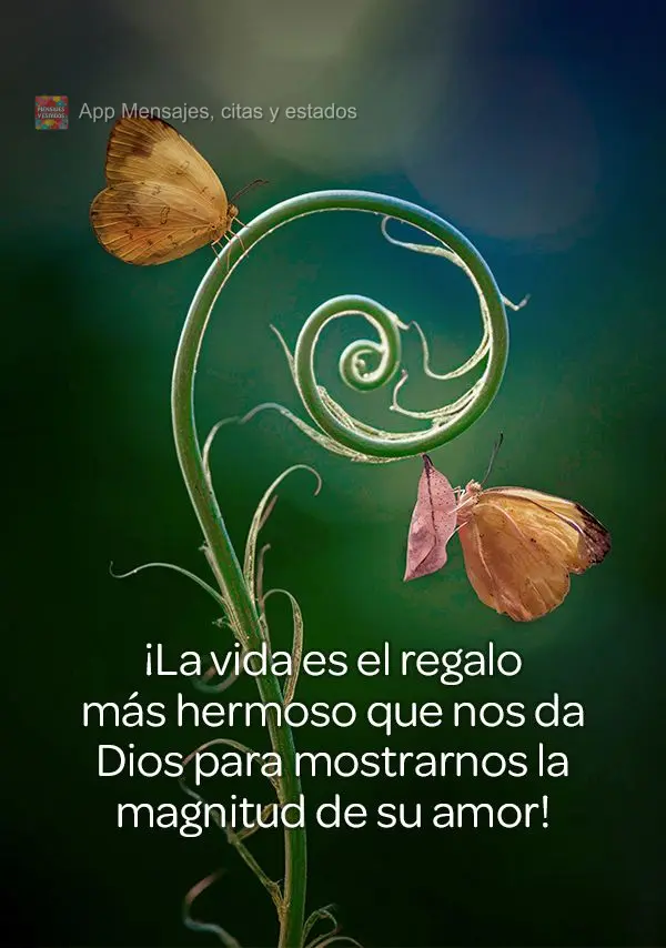 ¡La vida es el regalo más hermoso que nos da Dios para mostrarnos la magnitud de su amor!