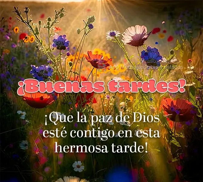 Que a paz de Deus esteja com você nesta bonita tarde! Boa tarde!