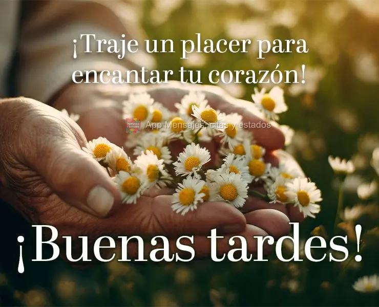 ¡Traje un placer para encantar tu corazón! ¡Buenas tardes!