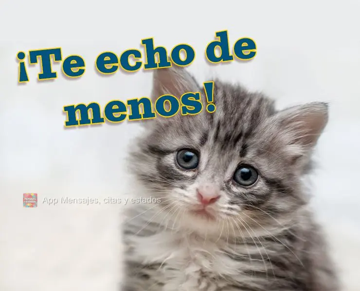 ¡Te echo de menos!
