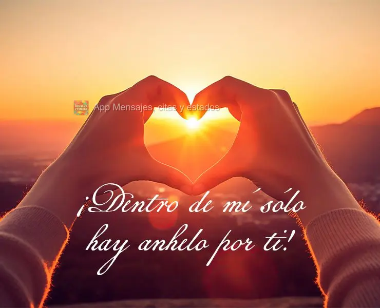 ¡Dentro de mí sólo hay anhelo por ti!